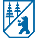 BRG logo