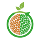 DSRT logo