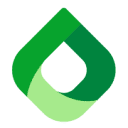 STECH logo